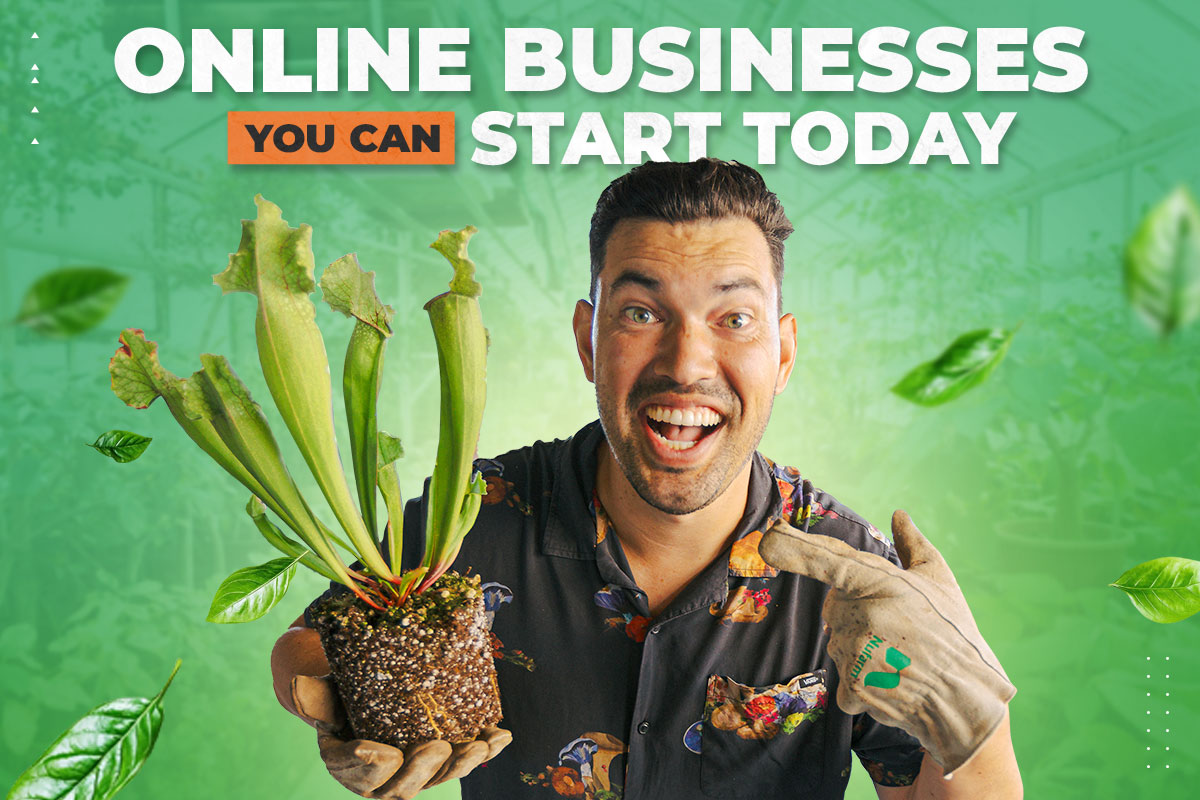 How to Start an Online Business (Turning $100 Into)