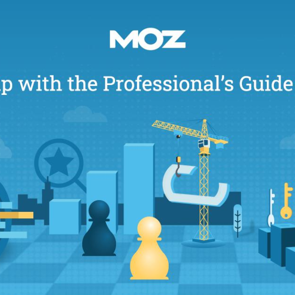 The Professional’s Guide to SEO (Search Engine Optimization)