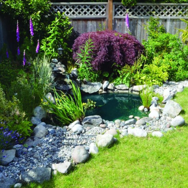 What today’s buyers really want: Plants, patios and peace of