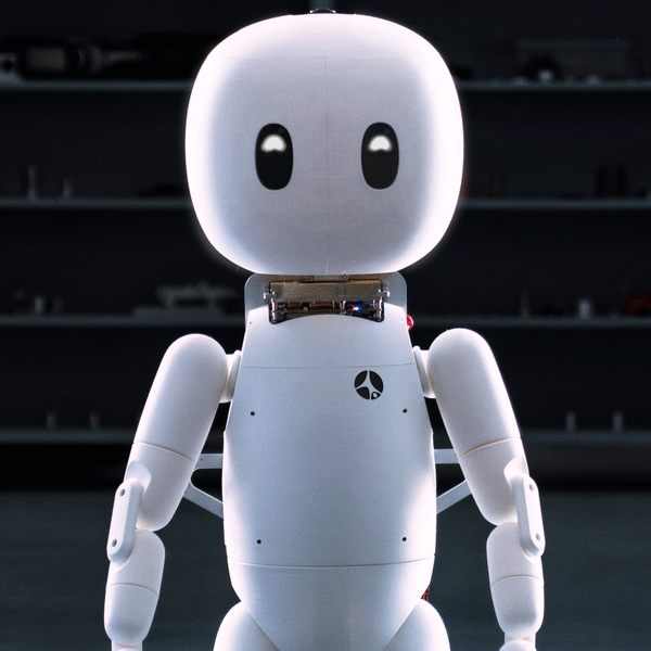 Can Cartwheel Robotics Redefine Humanoids as Our New Best Friends?
