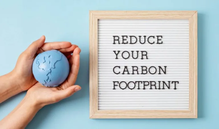 21 Practical Ways on How to Reduce Your Carbon Footprint