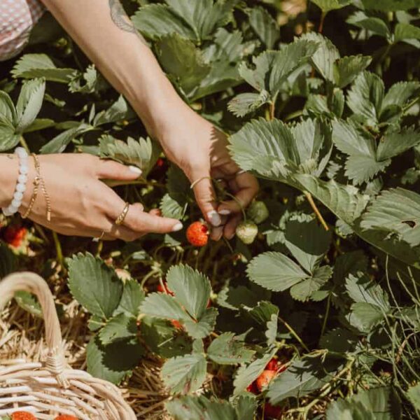 101 Sustainability Tips & Ideas For A Greener Lifestyle