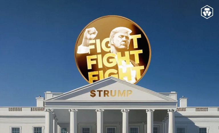 What Is the TRUMP Meme Coin? How to Buy TRUMP