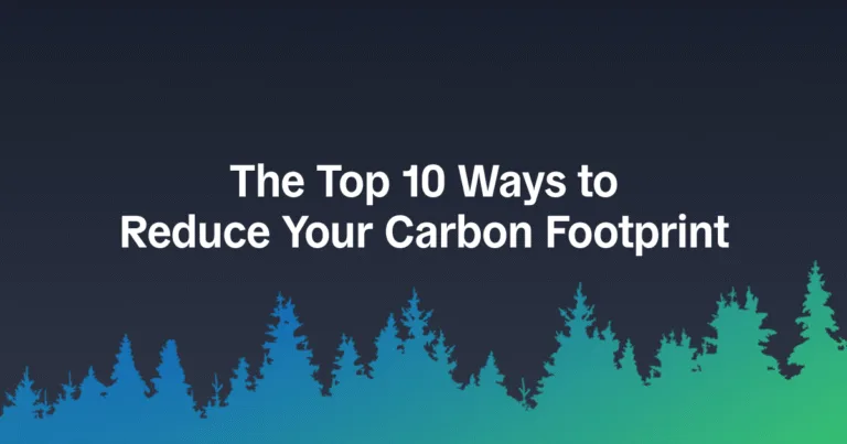 The 10 Top Ways to Reduce Your Carbon Footprint