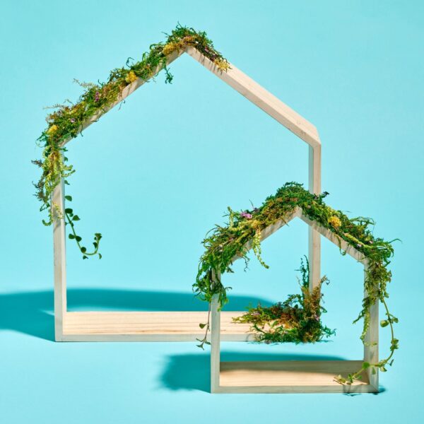 How to Live a Sustainable Lifestyle: 50 Tips for Sustainable